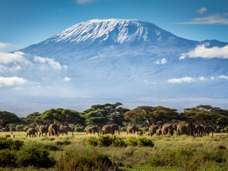 Kilimanjaro